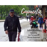 Copacetic (feat. Joe Farnsworth & Brandi Disterheft) - John Harkins