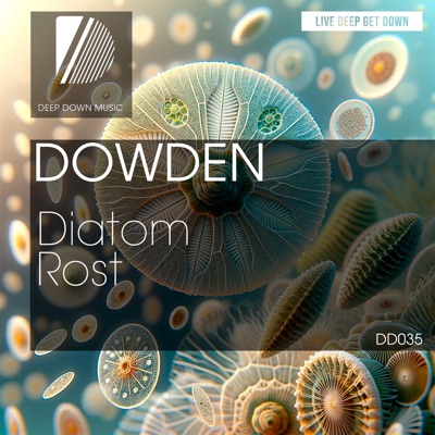 Diatom - Single