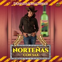 Puras Para Vaciar Botellas - Nortenas Con Sax