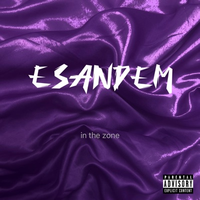 In the Zone (feat. Lisa K & ABACHAA) - Single