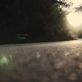 Diamonds I Leak Wiser Observer