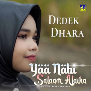 Yaa Nabi Salaam Alaika Album Art