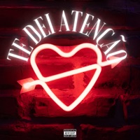 Te Dei Atenção - Single - Mc Medeiros & Dj Tavinho