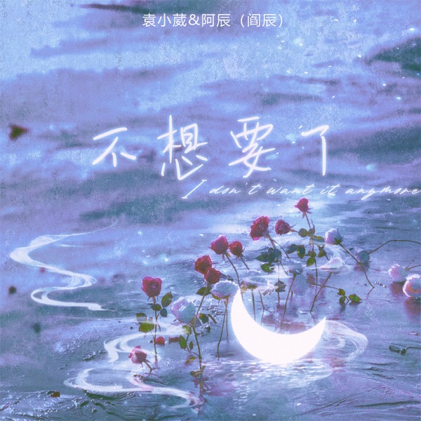 不想要了 - Single