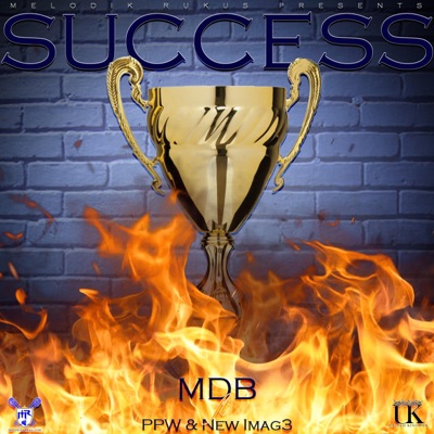 Success - Single