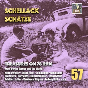 Was fang' ich an mit meiner Sehnsucht? (From