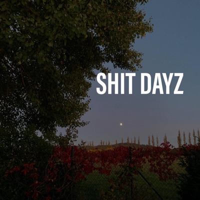 Shit Dayz - Single
