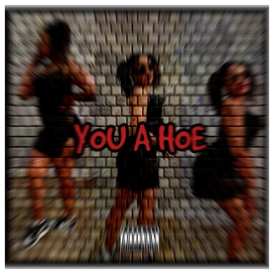 You a Hoe - Single