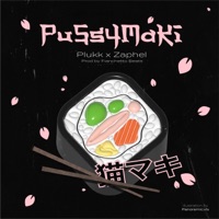 Pussymaki (feat. Fianchetto Beats) - Single - Plukk & Zaphel