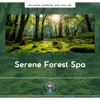 Serene Forest Spa: Kalimba Melodies for Relaxation