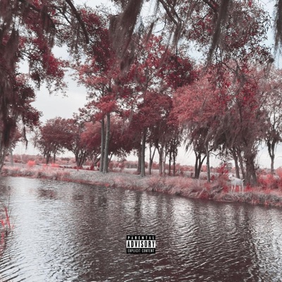 Muddy Water - Single