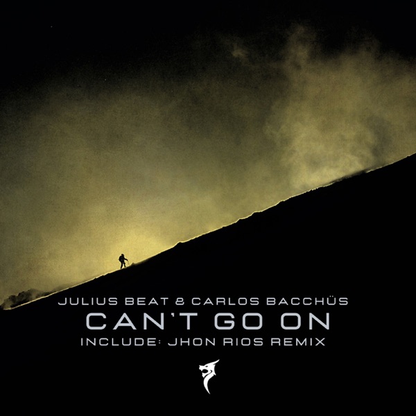 Can't Go on Remix - Single