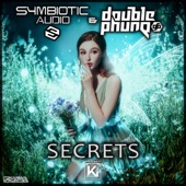 Secrets artwork