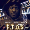 F.T.O.S (feat. Jetfuel Cannon) - Single