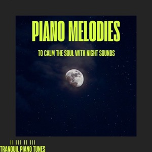 Piano Melodies to Calm the Soul with Night Sounds
