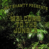 Welcome To the Jungle - Ant Shawty