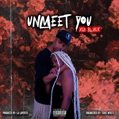 Unmeet You - Single