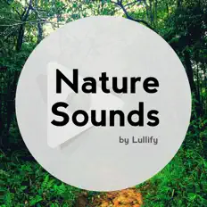 Ascolta Nature Sounds by Lullify, guarda video musicali, leggi la biografia, vedi le date del tour & altro!