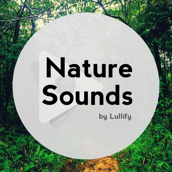 Nature Sounds by Lullify's avatar