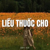 Liều Thuốc Cho Trái Tim (Lofi) - Single - Nguyễn Đình Vũ, Neko Lê & Quanvrox