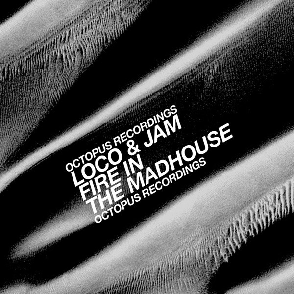 Fire in the Madhouse - Single