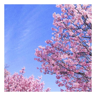 shining (feat. Hyland Park & Zai) - Single