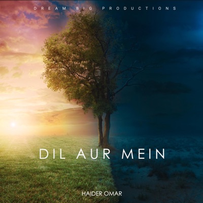 Dil Aur Mein - Single