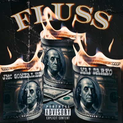 FLUSS (feat. Nai Darko) - Single