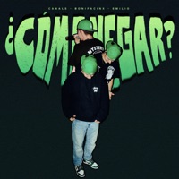 ¿cómo negar? - Single - Canals