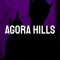 Agora Hills (Tiktok Remix) artwork