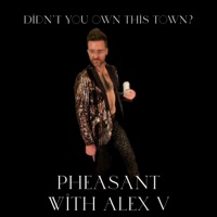 Didn't You Own This Town? (feat. Alex V) - Single - pheasant