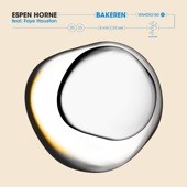 Bakeren (feat. Faye Houston) artwork