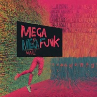 MEGA FUNK VEM VEM - Single - DJ CARLOS MT
