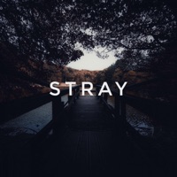 Stray - Single - Kirkinson & Lirth