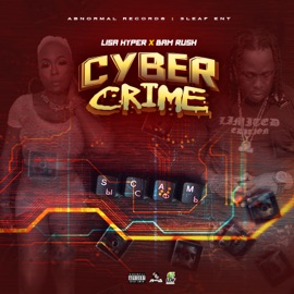Cyber Crime Lisa Hyper, Bam Rush & Krissonic