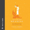 The Ache for Meaning: How the Temptations of Christ Reveal Who We Are and What We're Seeking - Tommy Brown