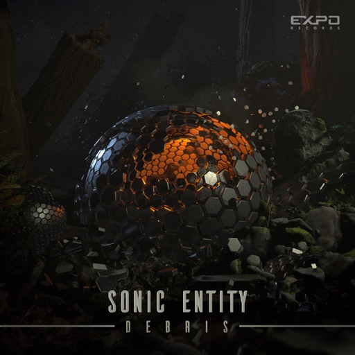 Debris - Single by Sonic Entity
