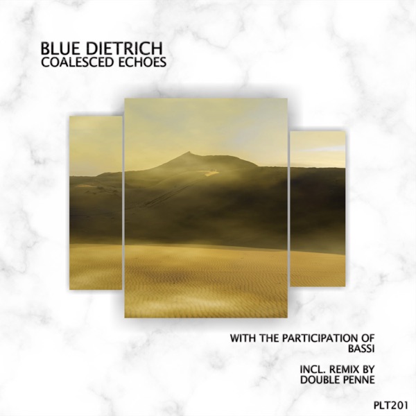 Coalesced Echoes (Short Edits) - Single