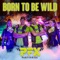 Born To Be Wild artwork