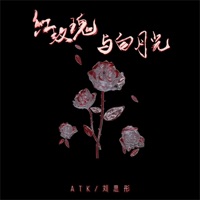 红玫瑰与白月光 - Single - ATK & 刘思彤