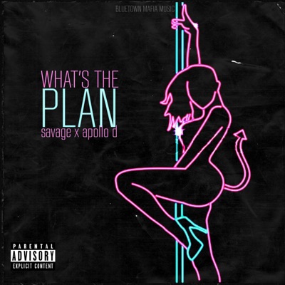 What's the Plan (feat. Apollo D) [Radio Edit] - Single