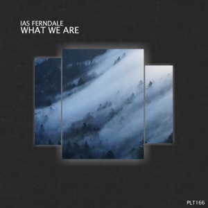 What We Are (Listeners Edition) - Single