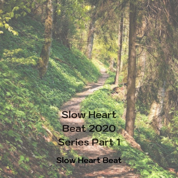 Slow Heart Beat 2020 Series, Pt. 1