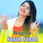 Sanam Sanam artwork