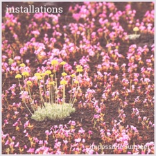 installations - Immobility