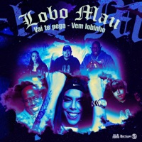 Lobo Mau Vai Te Pegar - Vem Lobinho - Single - Mc Toy, MC CAROL 011 & DJ GORDINHO DA VF