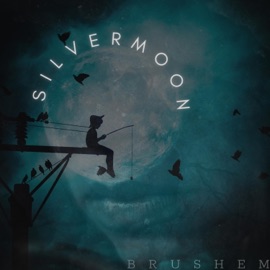 SilverMoon Brushem