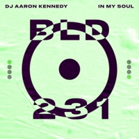 In My Soul - Single - Dj Aaron Kennedy