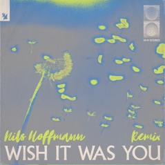 Wish It Was You (feat. Cate Downey) [Nils Hoffmann Remix] - Single