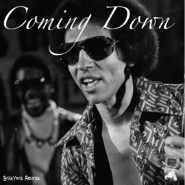 Coming Down (feat. George P, TreyGoBrvzy, 93Meexhie & Johnny Fontaine) Hossalini